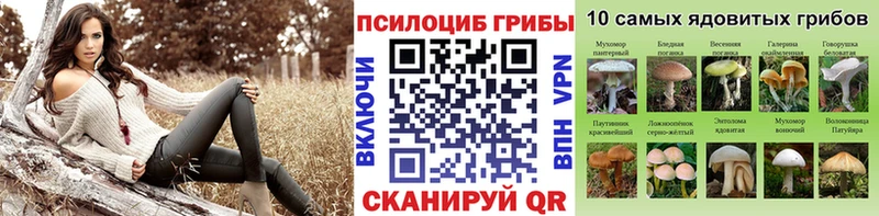 Купить закладки  Миньяр  Псилоцибиновые грибы ЛСД 